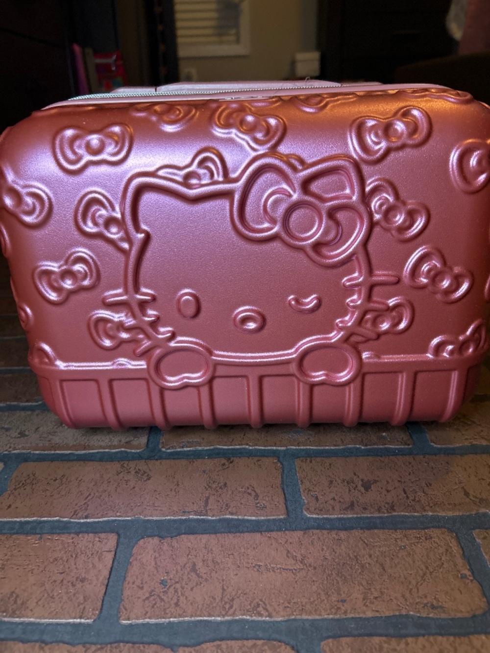 Brand New Hello Kitty Train Case